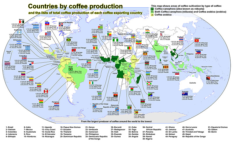 Creating An Infrastructure Around Your Fresh Roasted Coffee Brand  